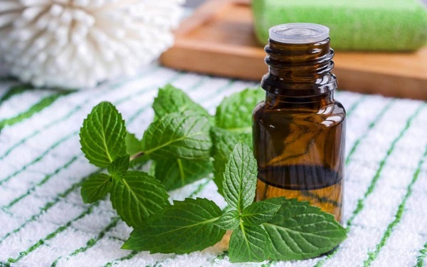مستحضرات التجميل الوظيفية: اتجاه جديد لتكامل العناية بالبشرة والتكنولوجيا